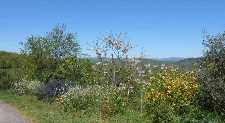 Chambre d'hotes des Monts — photo 5