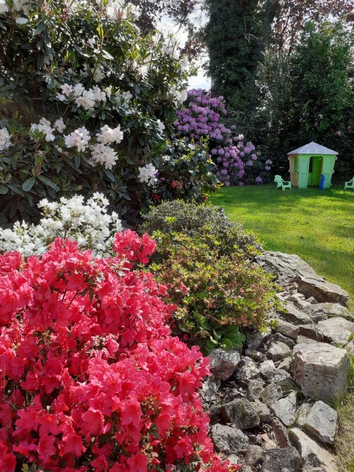 foto17