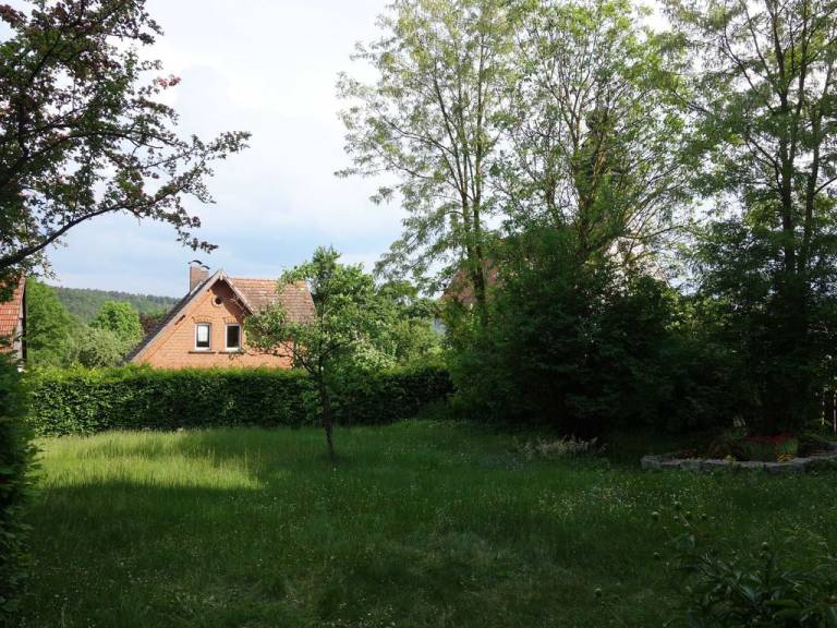 foto17