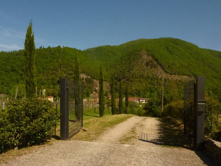 foto41