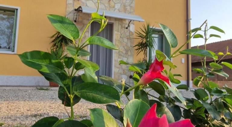 Agriturismo Fiore in Sommacampagna