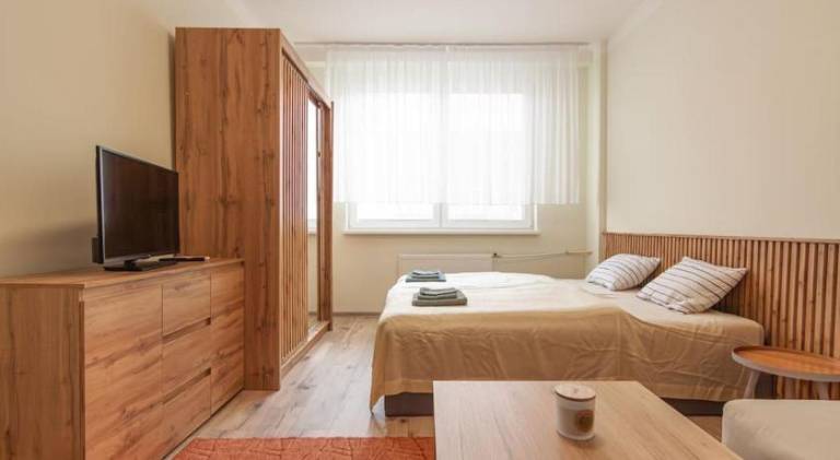 Vysoka Apartman EMF/STP in Bratislava