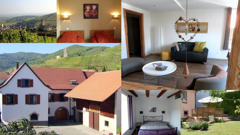 Appartement Katzenthal