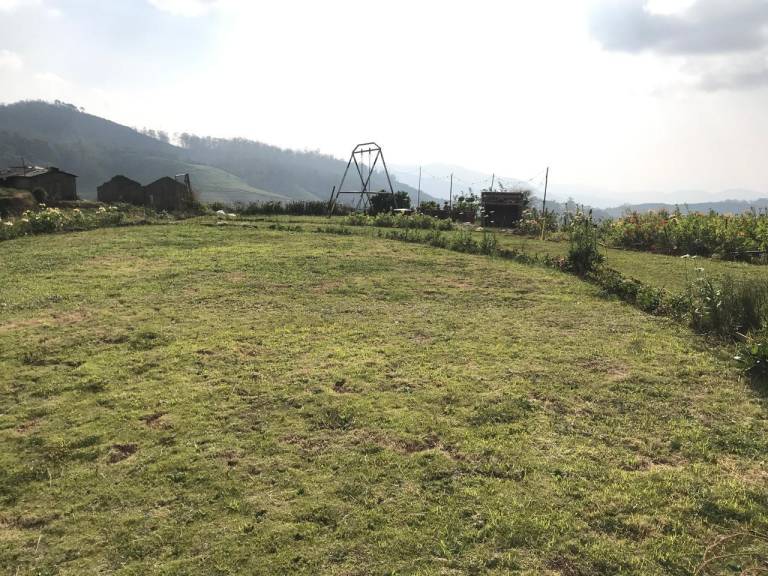 foto41