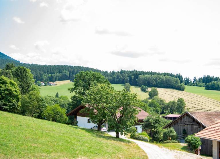 Ferienhaus Lam