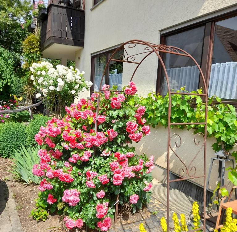 foto20