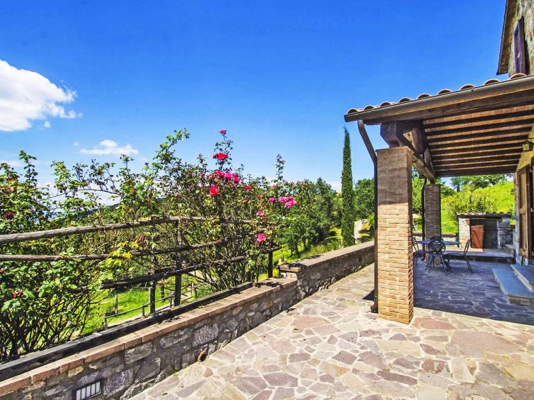 House with barbeque, terrace & private pool | Nature view | Pet-friendly — photo 4