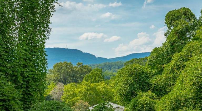 08 The Evans Room - A PMI Scenic City Vacation Rental — photo 3