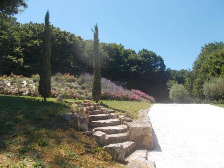 foto13
