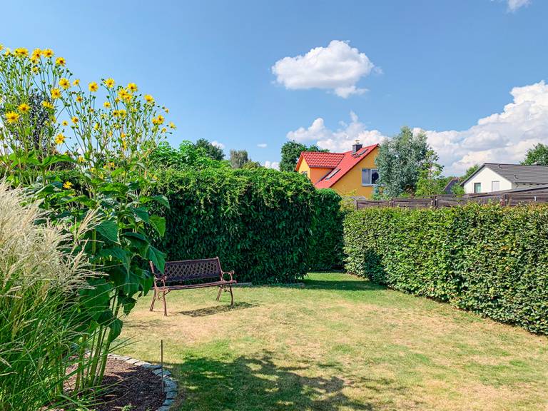 foto15