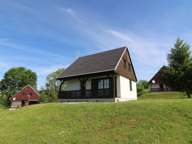 Ferienhaus  Schwarzenthal