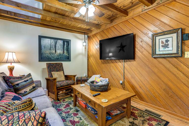 Hot Tub & Fire Pit: Cozy Cabin in Maggie Valley — photo 4