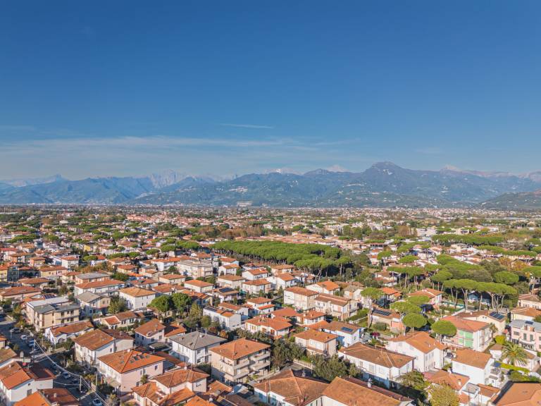 foto41