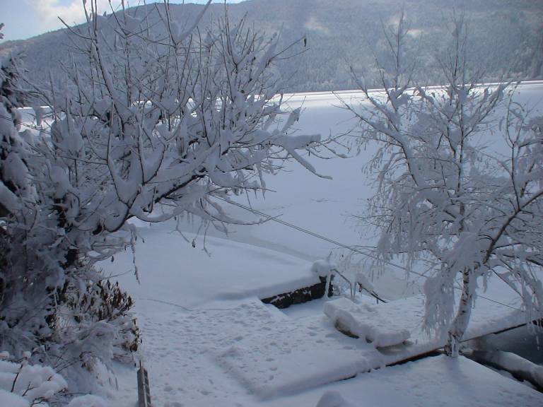 foto42