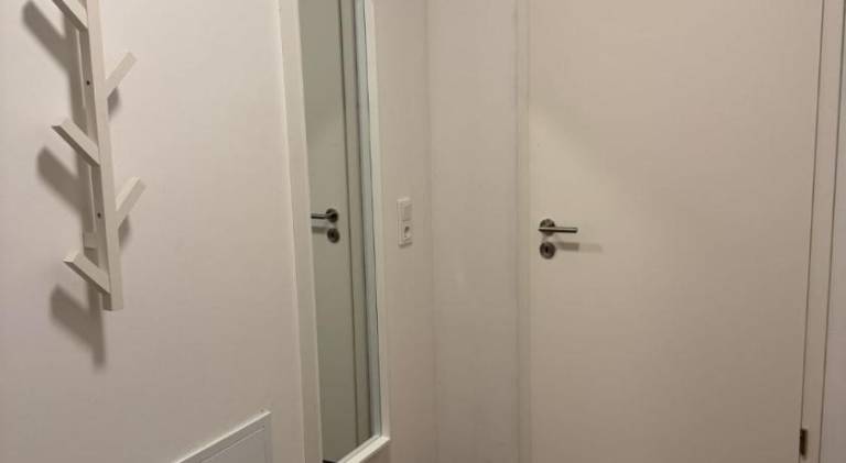 Beautiful apartment | Pets are welcome — photo 3