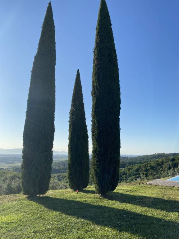 foto18