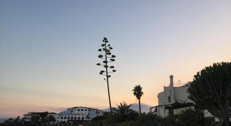 Rental apartment | Close to the beach | Pets allowed in Giardini Naxos