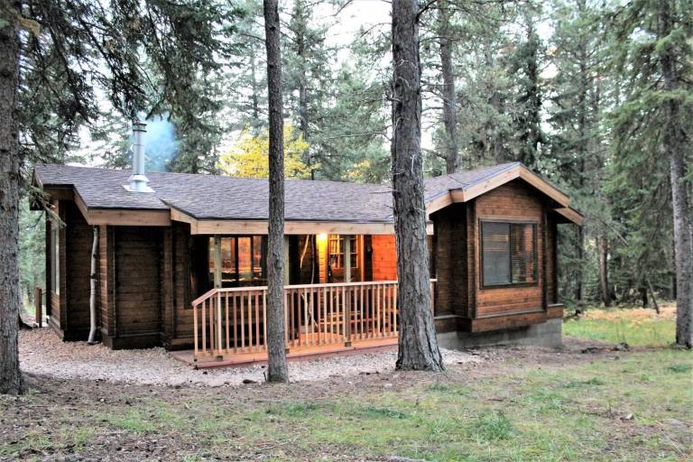 Cabin Lead