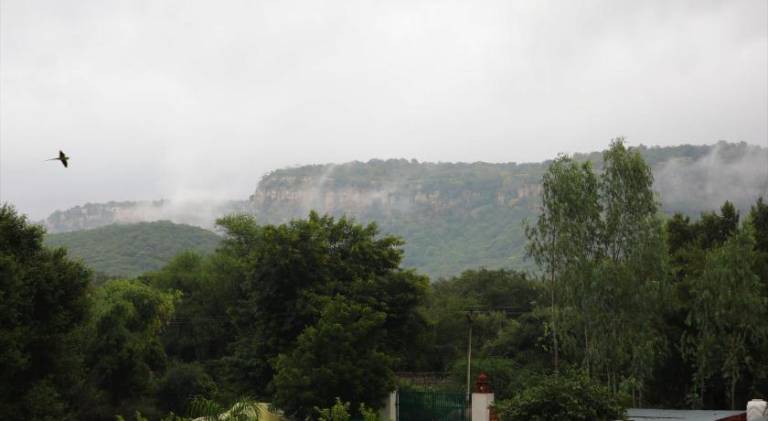 foto44