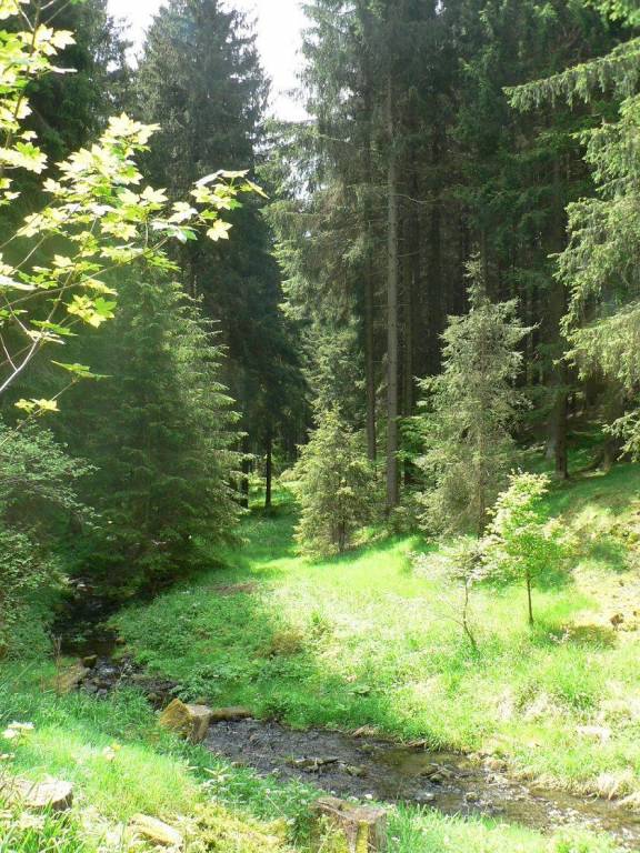 foto23
