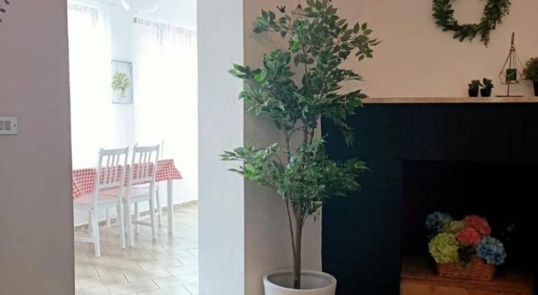 Vacation home with 2 rooms for 5 persons — photo 4