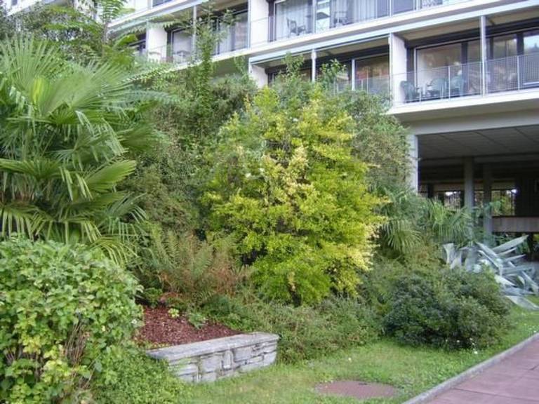 Fully equipped pleasant rental apartment with private pool & sauna | Nature view | Dogs allowed — photo 3
