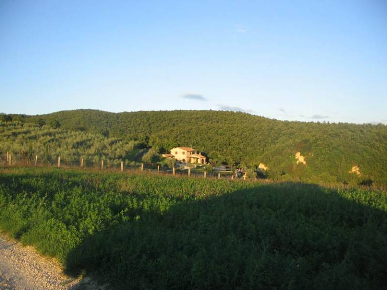 foto11