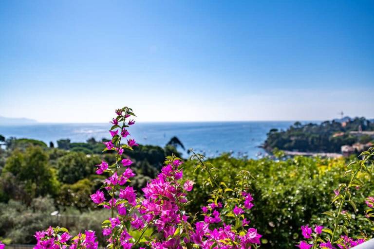 Villa Rapallo