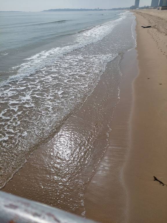 foto1