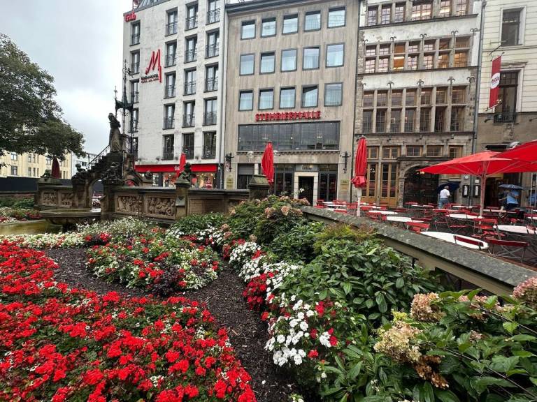 foto6