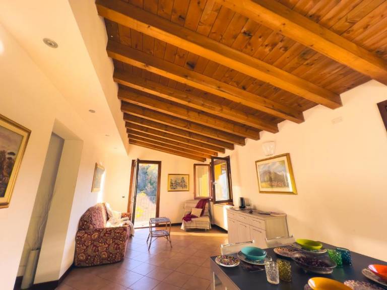 Casa Mango