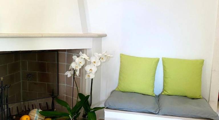 House | Pet-friendly — photo 5