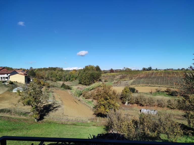 foto50