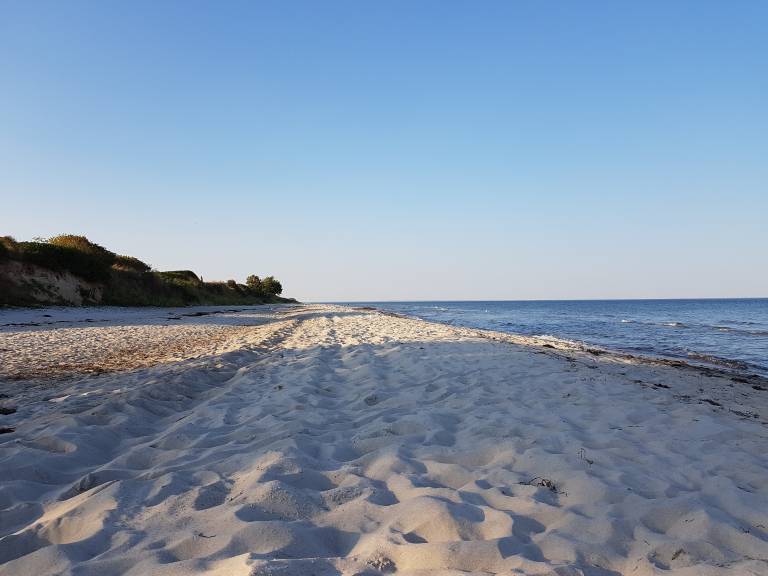foto19