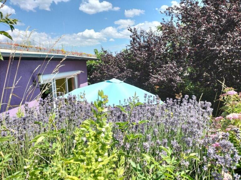 Ferienwohnung Bad Liebenzell