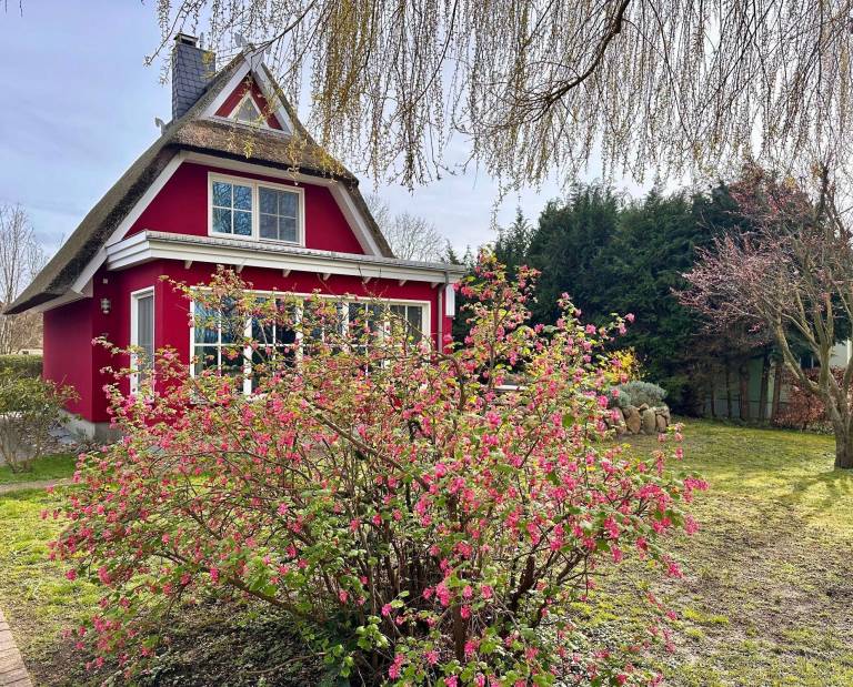 Ferienhaus  Ahrenshoop