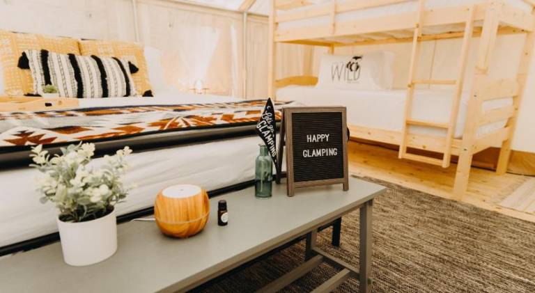Timberline Glamping at Unicoi State Park — photo 4