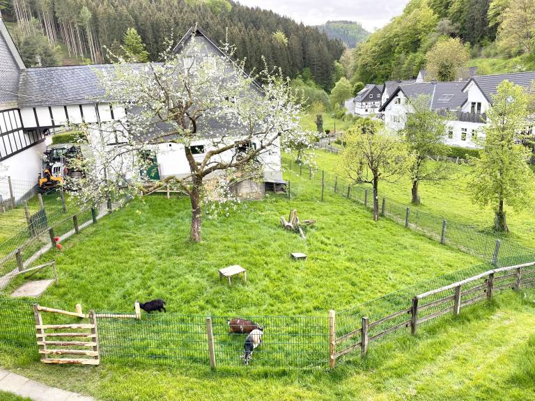 Ferienwohnung  Rothaargebirge