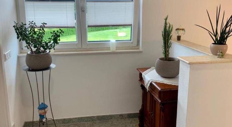 Rental apartment with terrace — photo 5