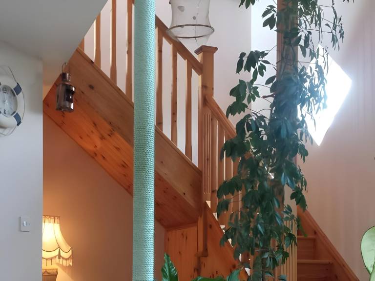 foto28