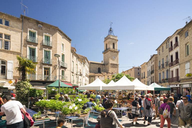 Appartement Pézenas