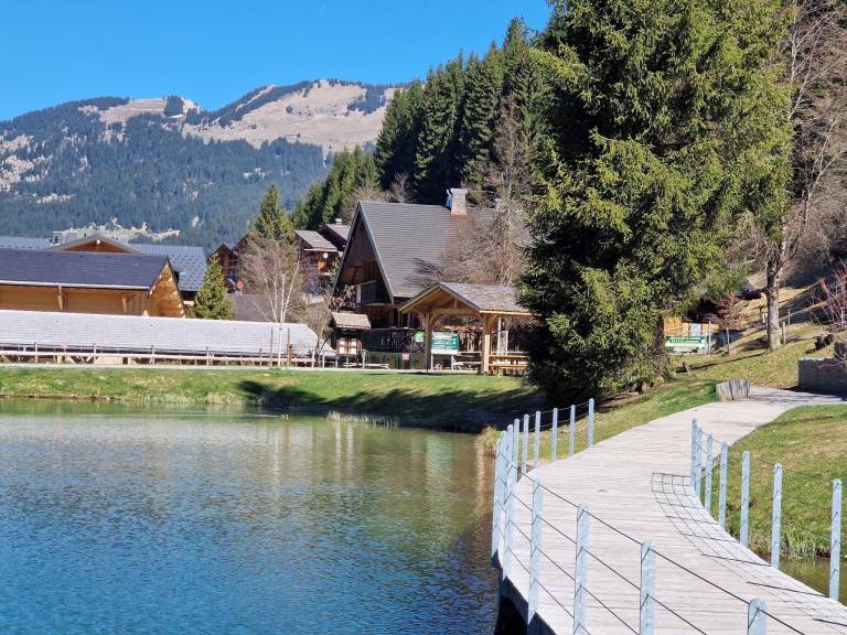 Chalet Châtel