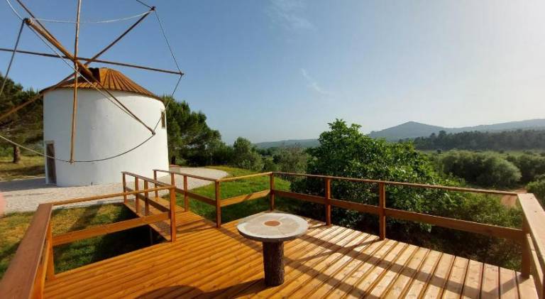 Lovely vacation home with patio & garden | Perfect for remote work | Pets are welcome in Leiria
