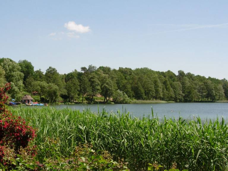 foto11