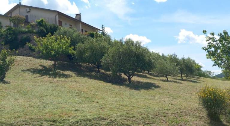 La Finestra Sui Monti — photo 5