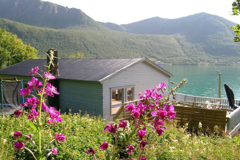 Ferienhaus Sifjord