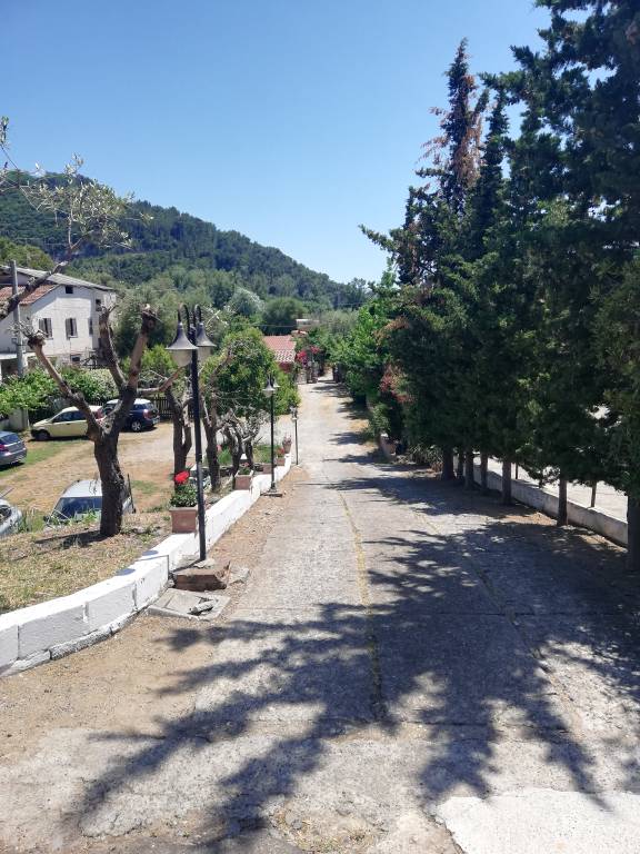 foto17