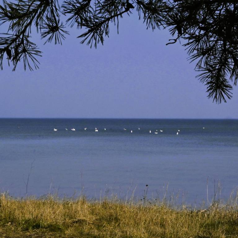 foto14
