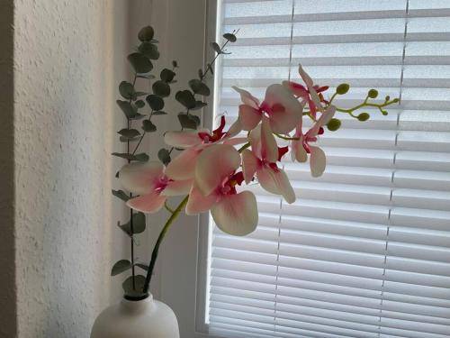 foto18