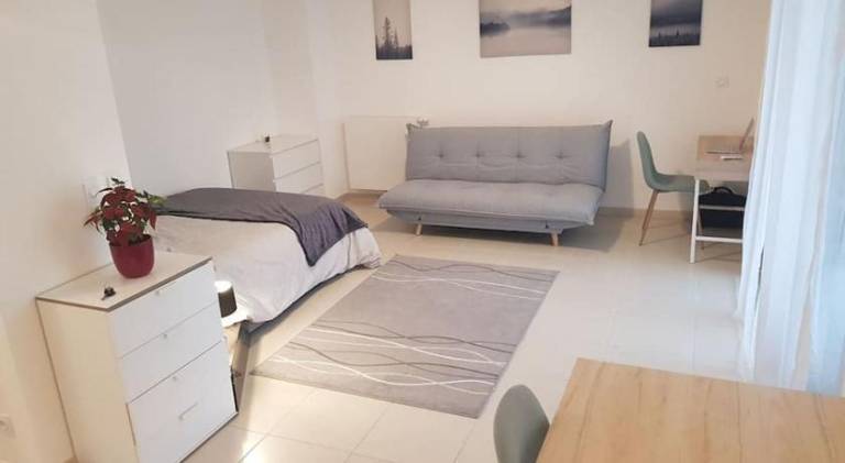 Holiday apartment with 1 room for 4 persons in Ferney-Voltaire